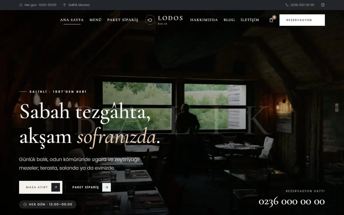 Lodos Balık konsept web sitesi, bilgisayar görünümü
